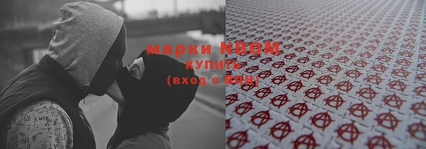 ешки Алексин