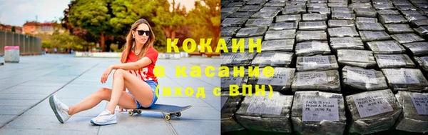 ешки Алексин