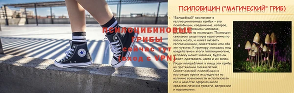 ешки Алексин