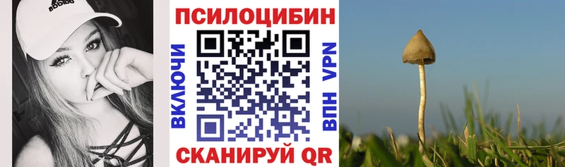 hydra ссылка  как найти закладки  Пошехонье  Галлюциногенные грибы мицелий 